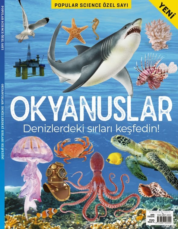 OKYANUSLAR