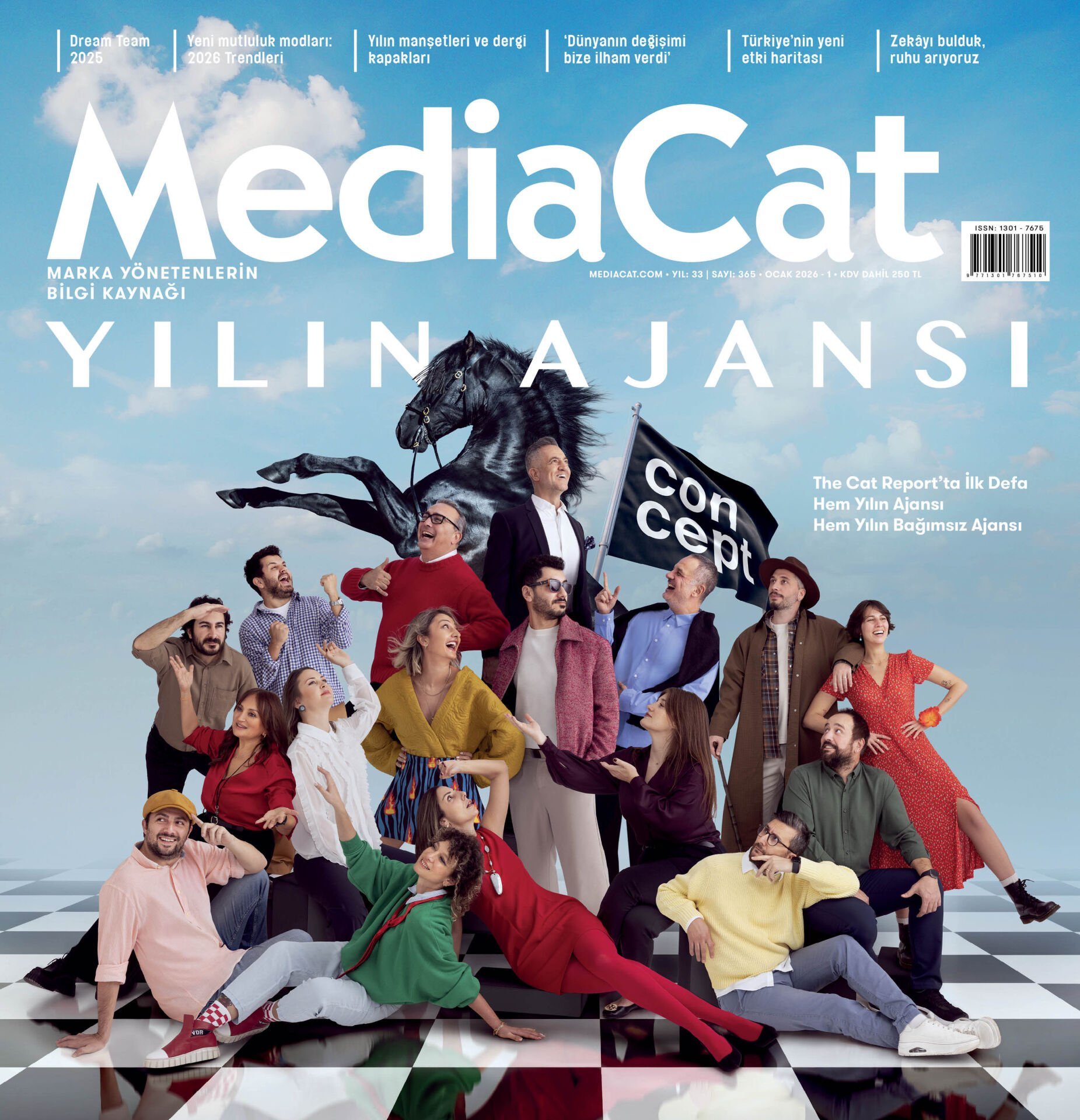 MediaCat