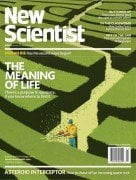 NEW SCIENTIST (UK)