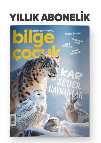 BİLGE ÇOCUK ABONELİK